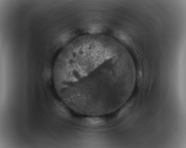 X0000087340367200704201149
