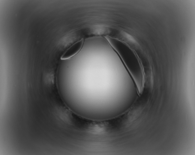 X0000087340368200704201149