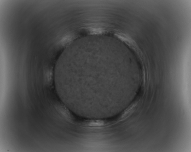 X0000087340369200704201149