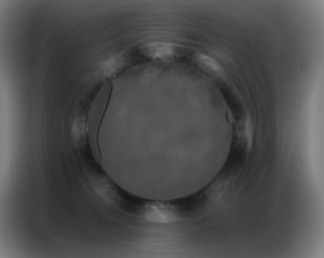 X0000087340372200704201149