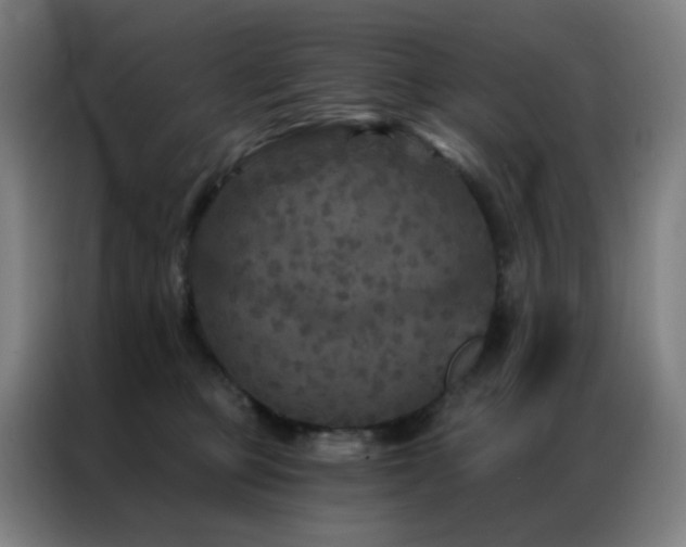 X0000087340373200704201149