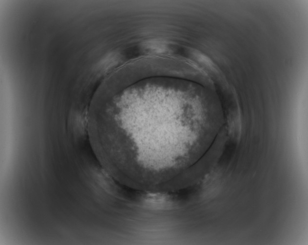 X0000087340376200704201149