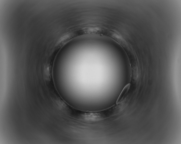 X0000087340378200704201150