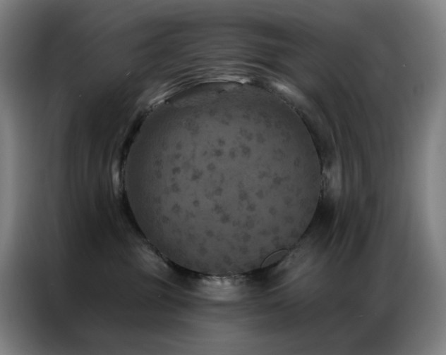 X0000087340381200704201150