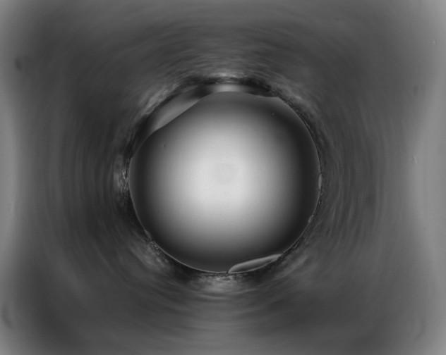 X0000087340384200704201150