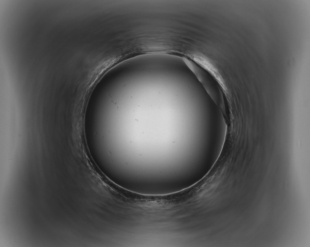 X0000087340385200704201149