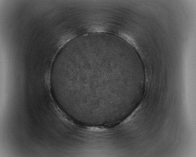 X0000087340386200704201149