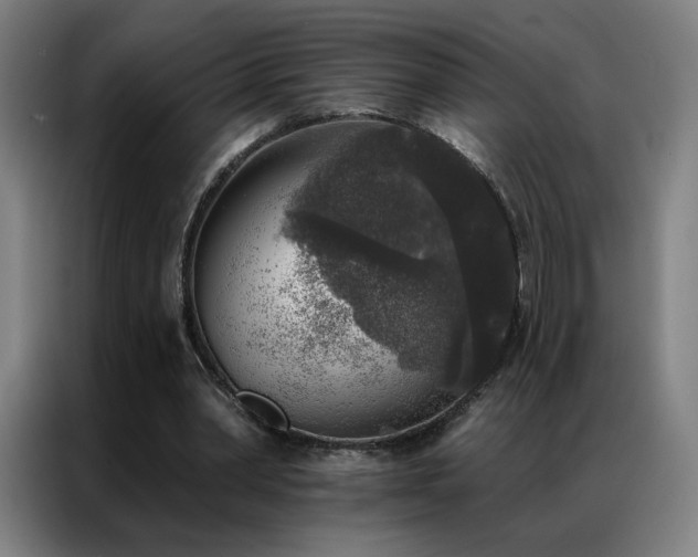 X0000087340390200704201149