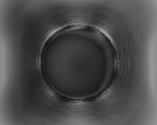 X0000087340391200704201149