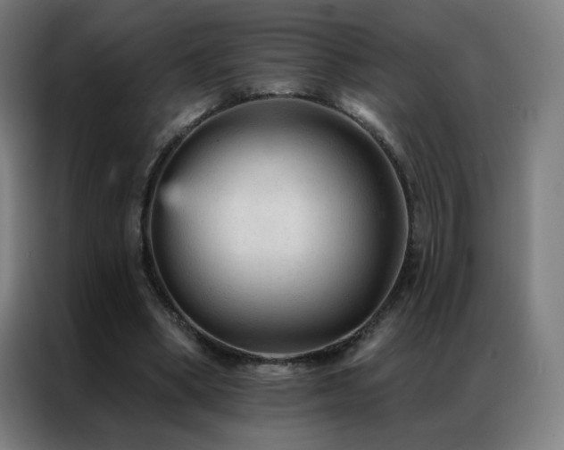 X0000087340394200704201149