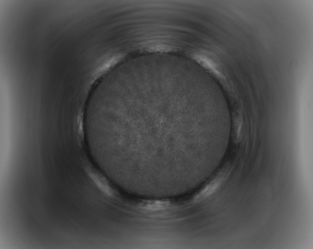 X0000087340398200704201149