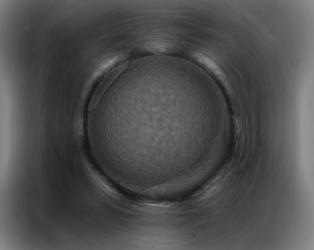 X0000087340399200704201149