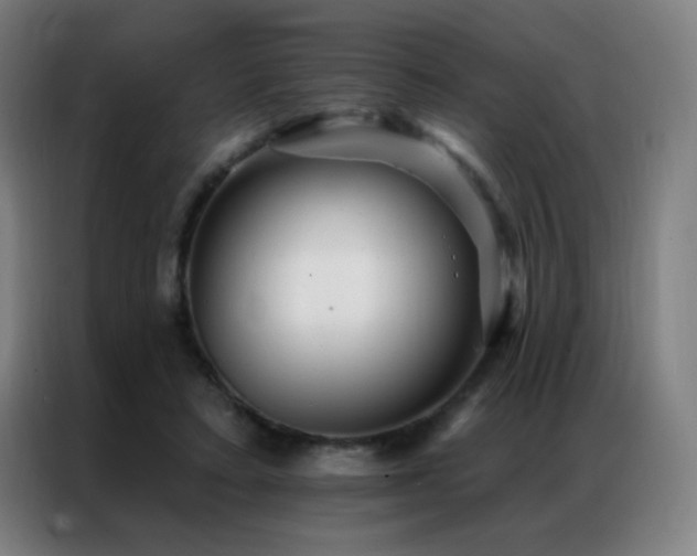 X0000087340403200704201149