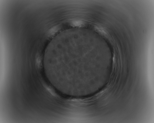 X0000087340408200704201149