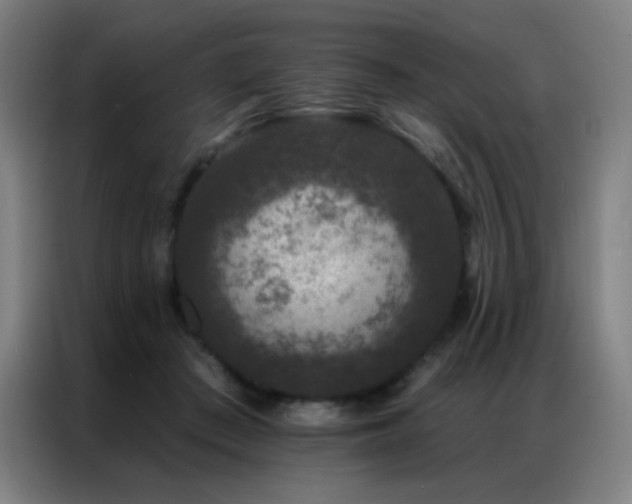 X0000087340409200704201149