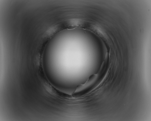 X0000087340413200704201149