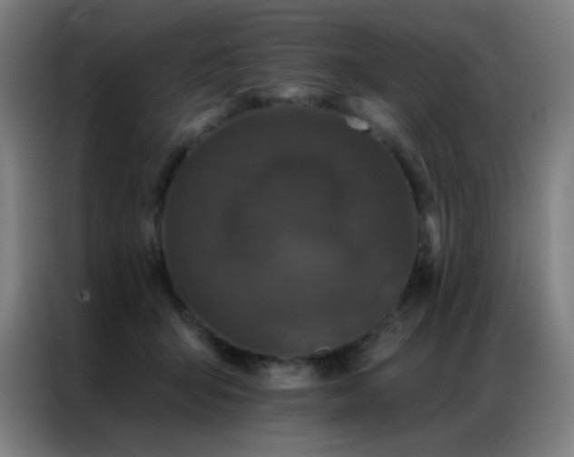 X0000087340415200704201149