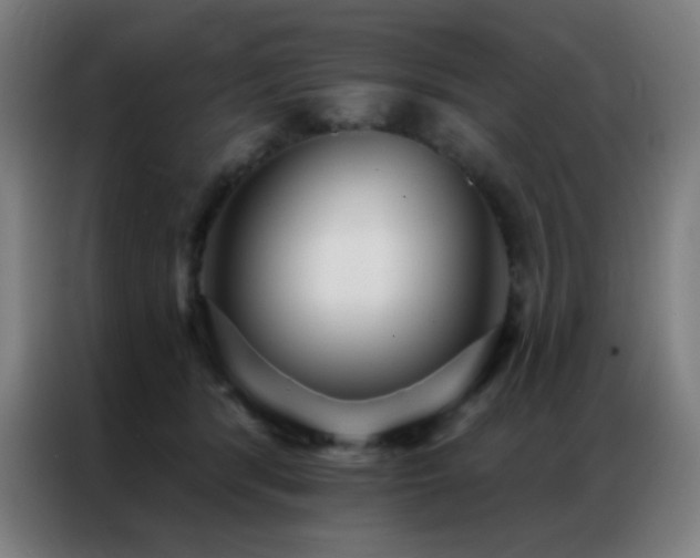 X0000087340416200704201149
