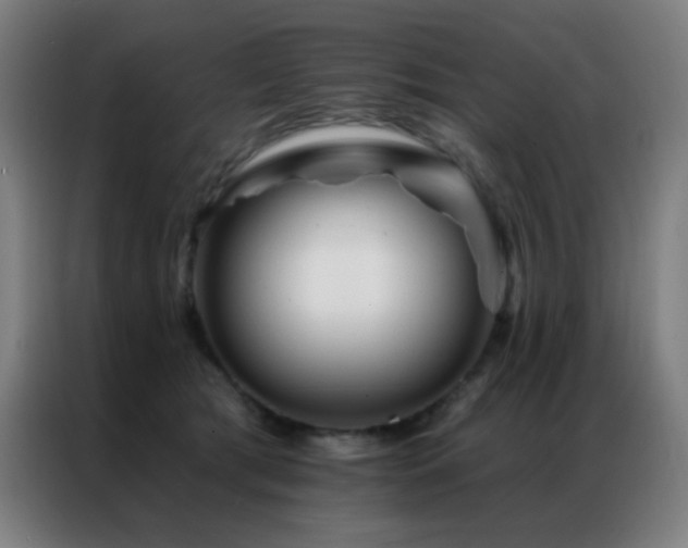 X0000087340417200704201149