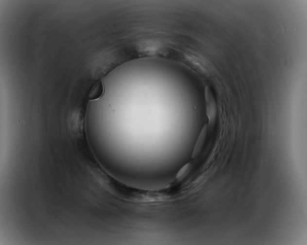 X0000087340420200704201149