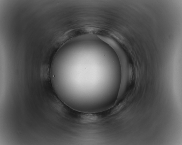 X0000087340421200704201149