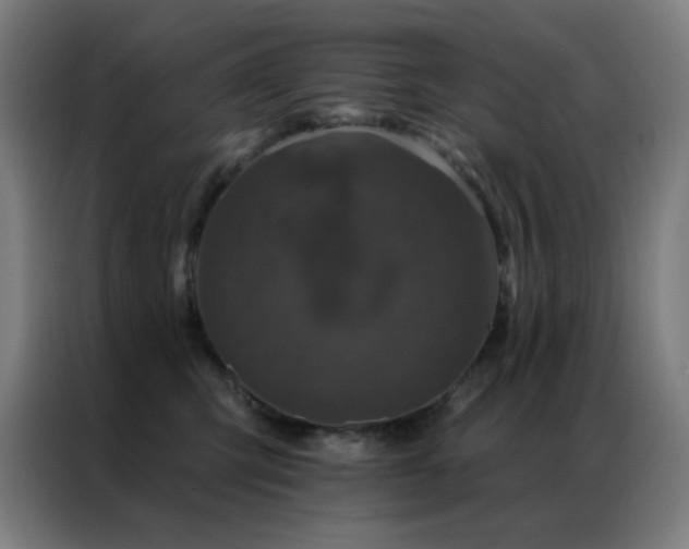 X0000087340423200704201149