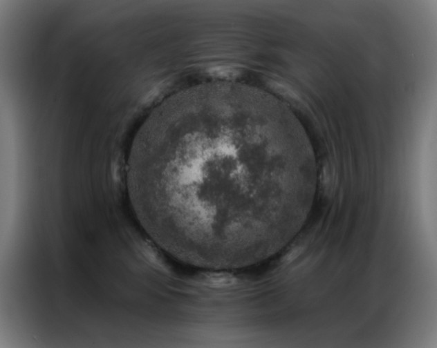 X0000087340424200704201149