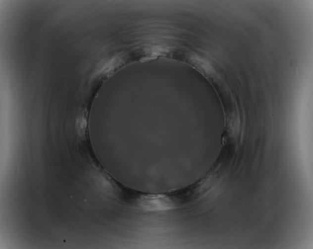 X0000087340427200704201149