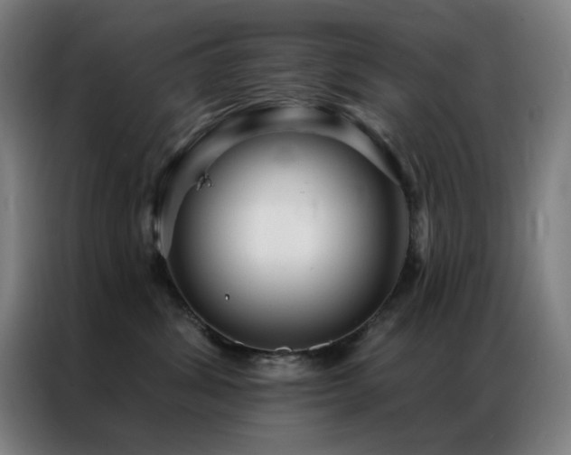 X0000087340428200704201149