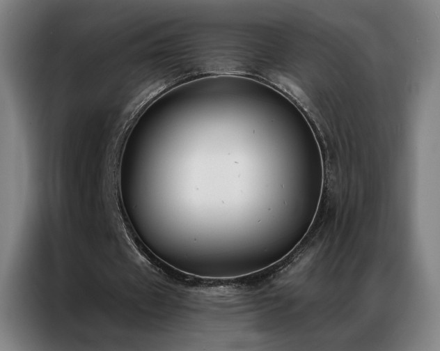 X0000087340433200704201148