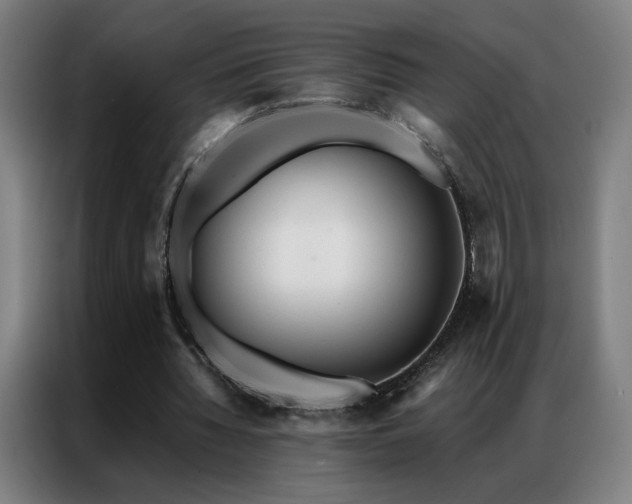 X0000087340436200704201148