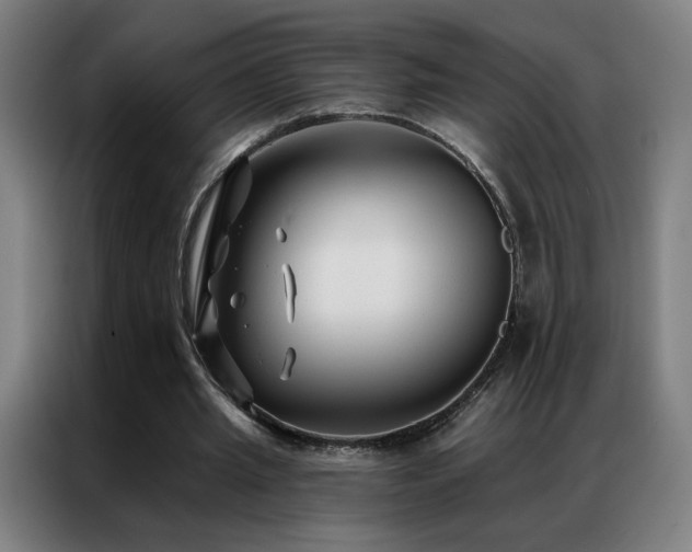 X0000087340437200704201148