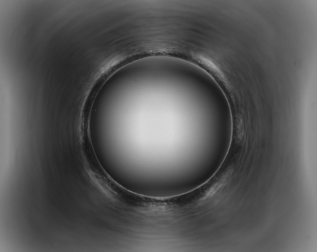 X0000087340439200704201148