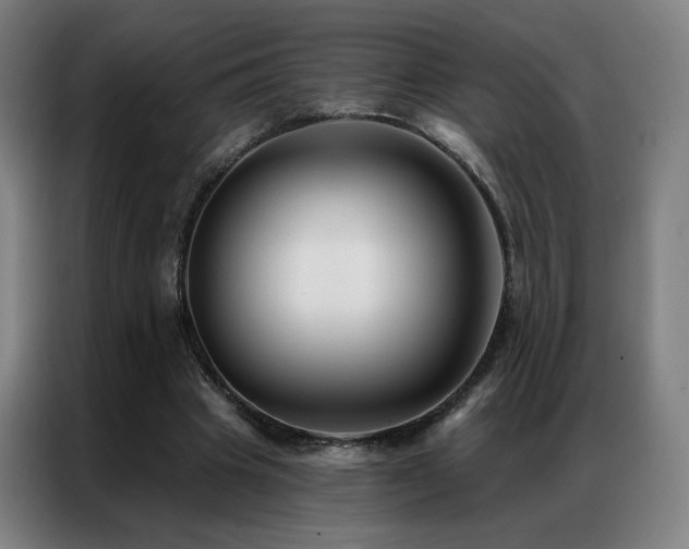 X0000087340441200704201148