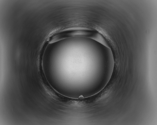 X0000087340442200704201148