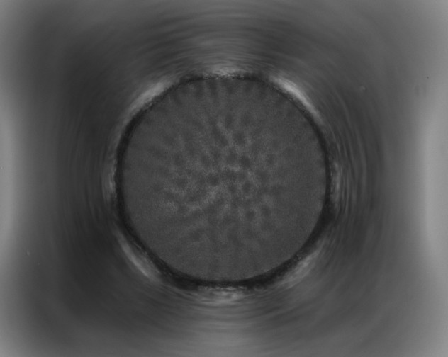X0000087340443200704201148