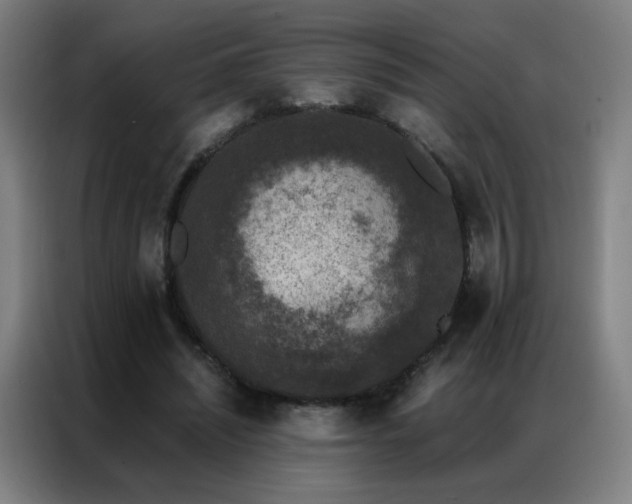 X0000087340444200704201148