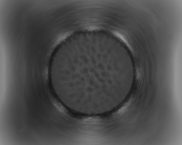 X0000087340447200704201148