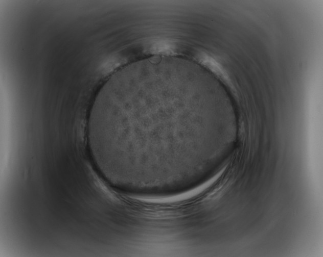 X0000087340449200704201148