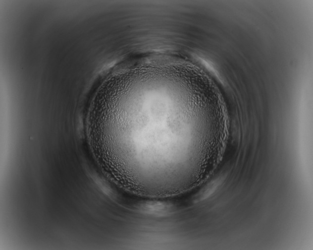 X0000087340453200704201148