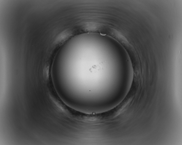 X0000087340454200704201148