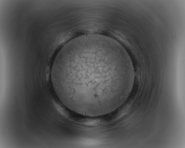X0000087340458200704201148