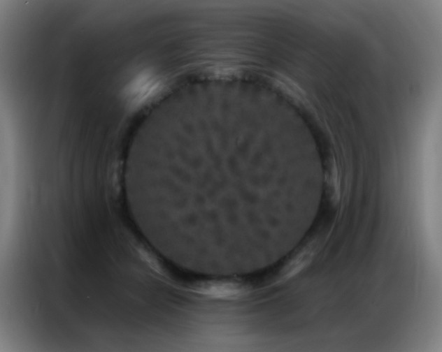X0000087340462200704201148
