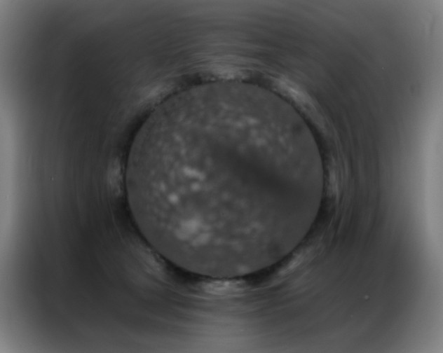 X0000087340465200704201148