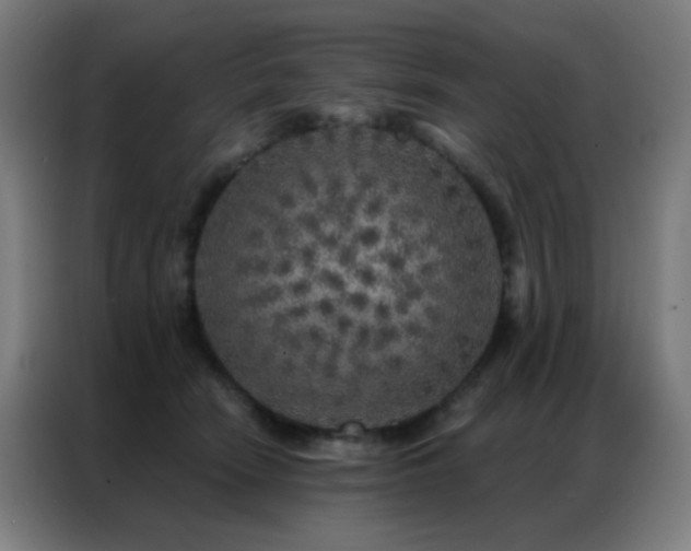 X0000087340466200704201148