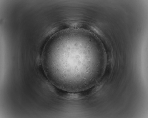 X0000087340469200704201148