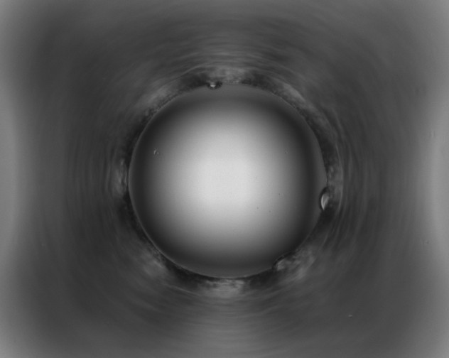 X0000087340474200704201148