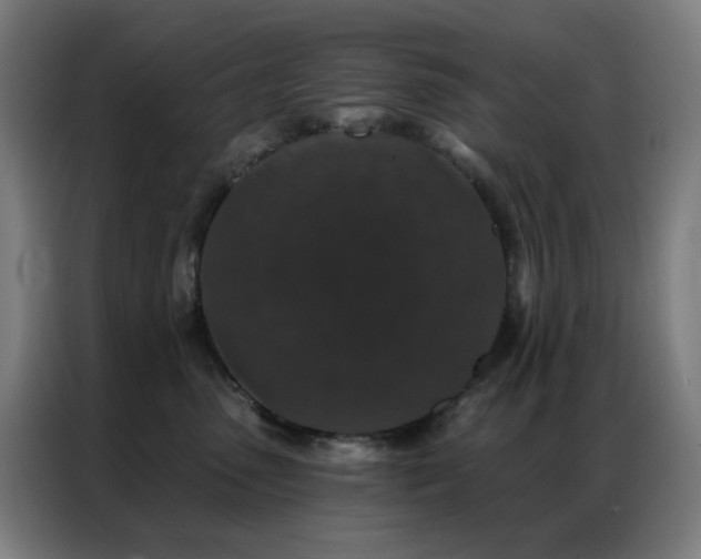 X0000087340475200704201148