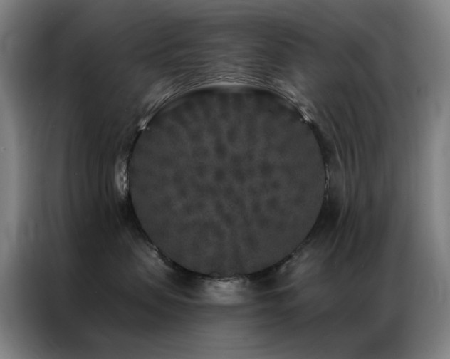 X0000087340479200704201148