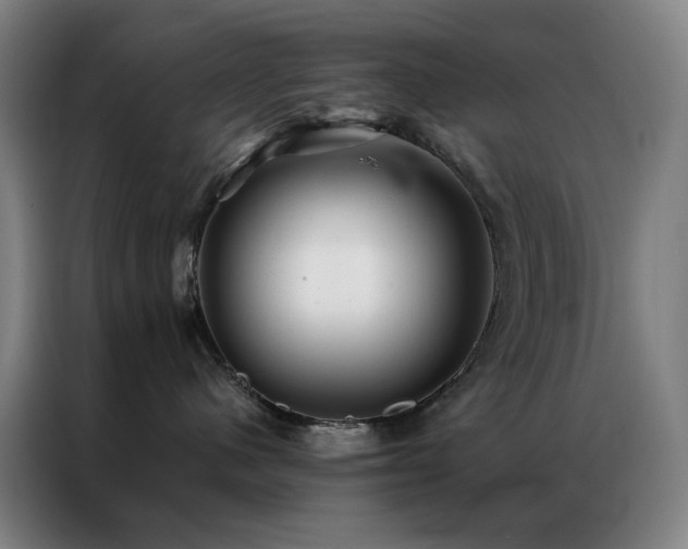 X0000087340480200704201148